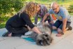 Erste Hilfe Workshop 2020 - Erste Hilfe beim Hund. Workshop mit Dr. med. vet. FVH Reto Curti bei Via Victoria Dogs, Ruth Spielmann, Heimenschwand