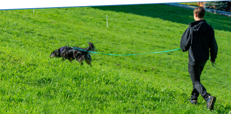 Ausschreibung: Nasenarbeit - Fährten
