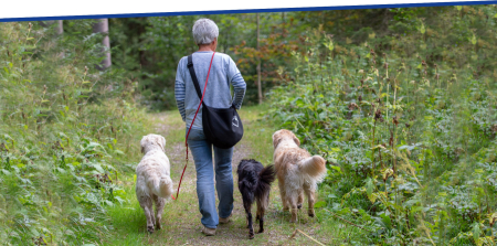 Ausschreibung: Ich und die Leine, Sonntag, 13. September 2020