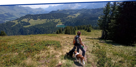 Ausschreibung: Maibummel (Das Wandern ist des Hundes Lust) Samstag, 29. Mai 2021